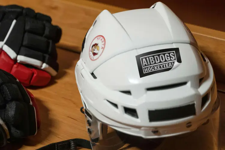 EHC Aibdogs Bad Aibling Hockeyteam Aufkleber